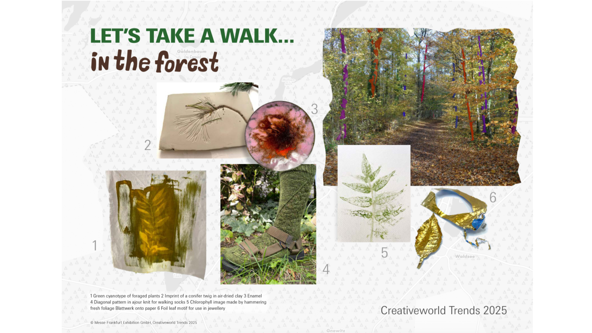 Creativeworld Trends 25: LET’S TAKE A WALK… in the forest