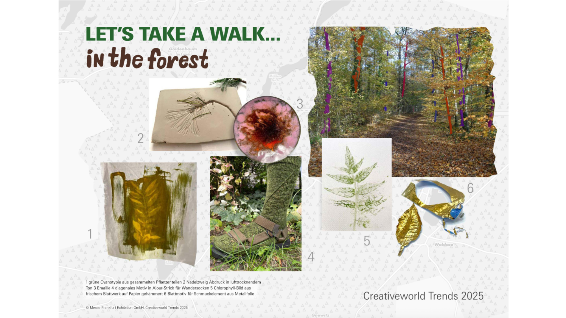 Creativeworld Trends 25: LET’S TAKE A WALK… in the forest